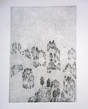 Etching,17x24,2013